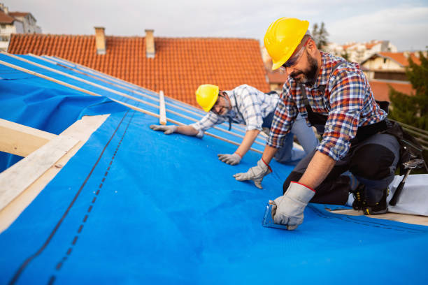 Best Gutter Installation and Roofing  in Pomona, NJ
