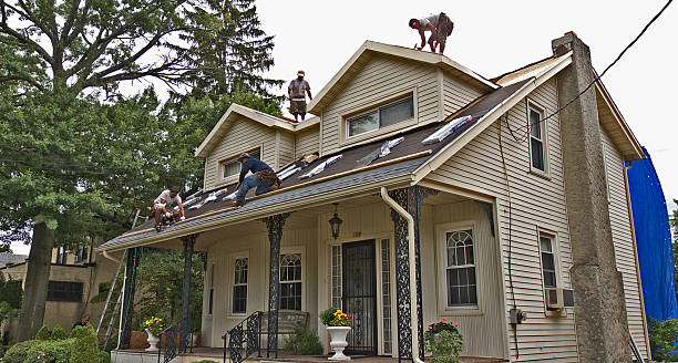 Best Storm Damage Roof Repair  in Pomona, NJ